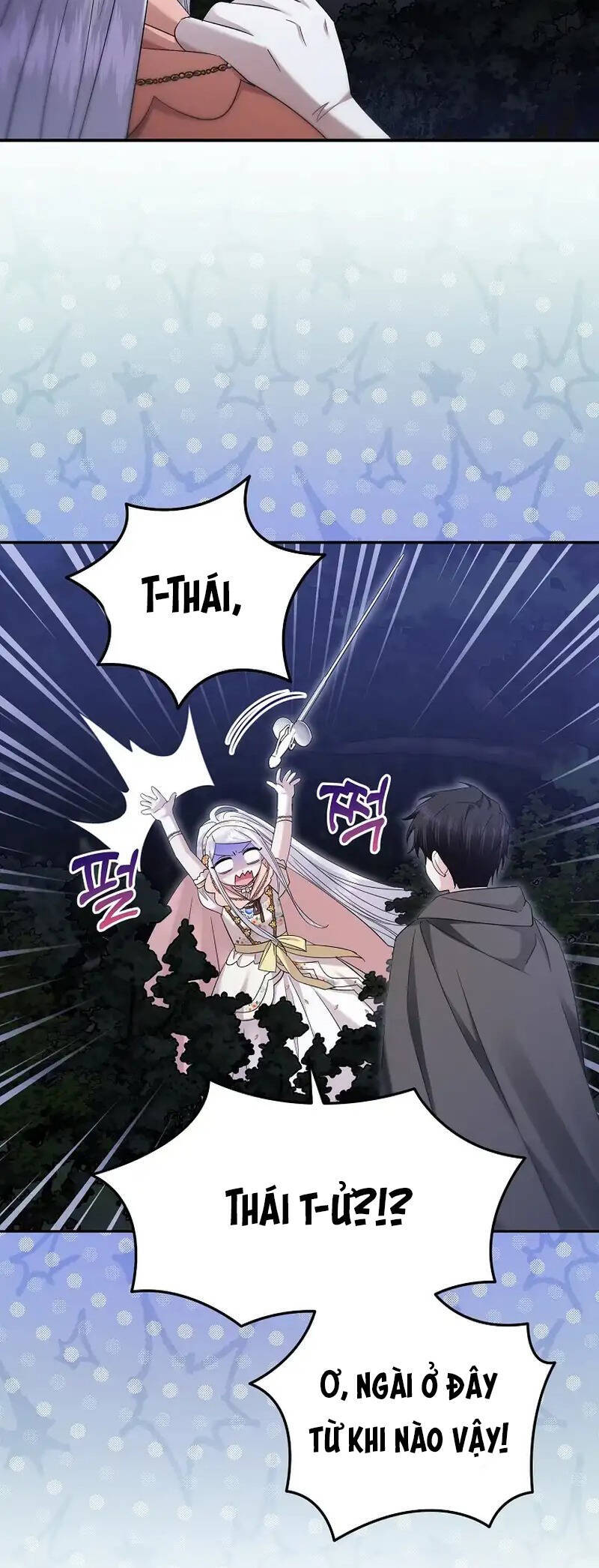 Kiếp Này Ta Sẽ Không Sống Như Một Anh Hùng Nữa Đâu! Có Lẽ Ta Sẽ Nghỉ Hưu! Chap 22 - Next Chap 23