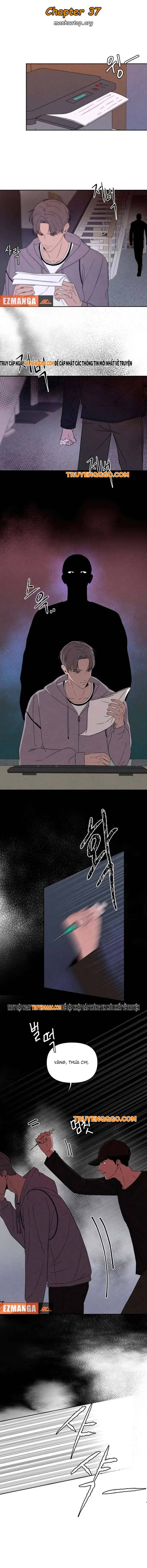 Tôi Muốn Ngừng Việc Giết Chóc Chap 37 - Next Chap 38