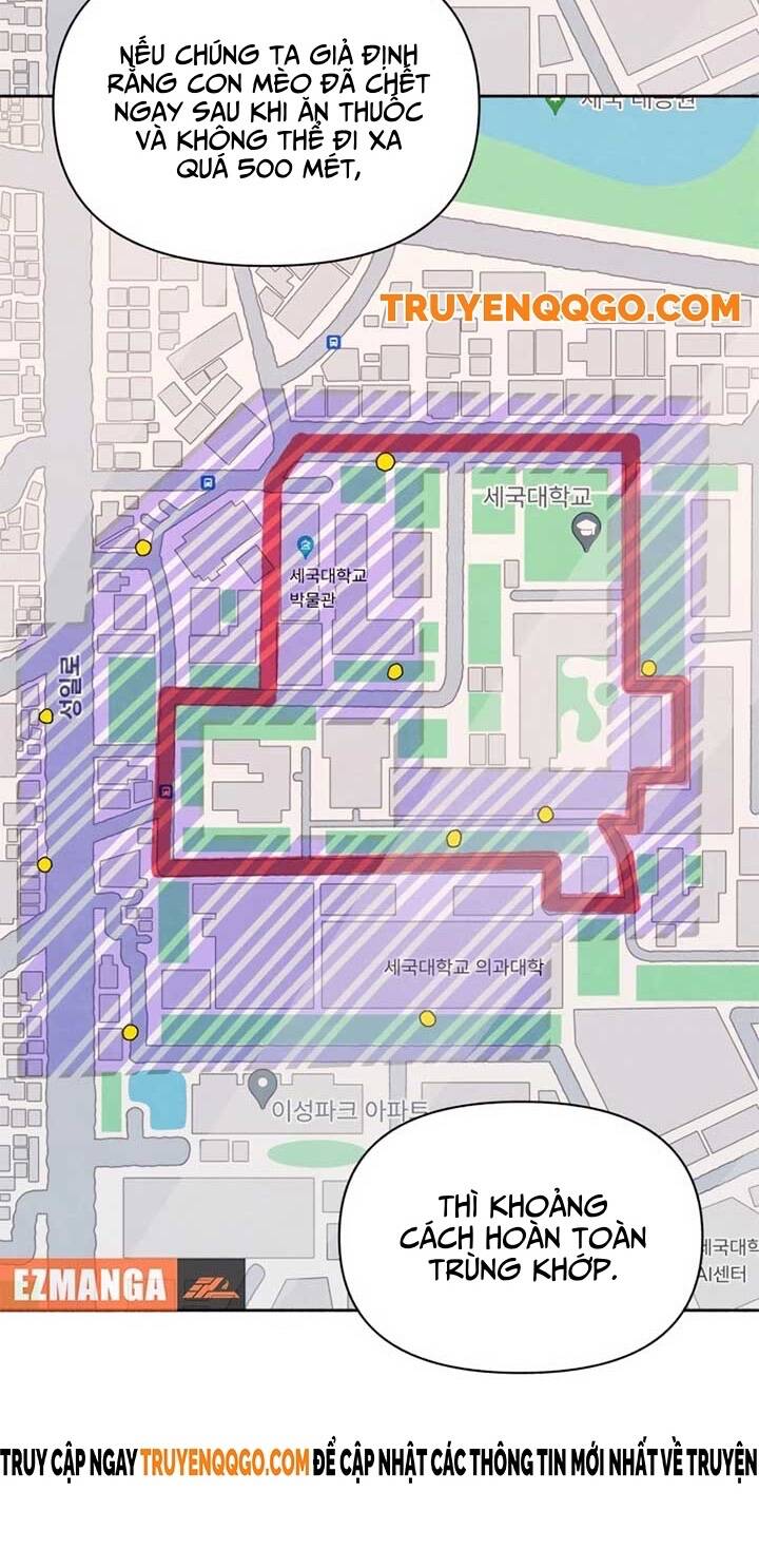 Tôi Muốn Ngừng Việc Giết Chóc Chap 41 - Next Chap 42