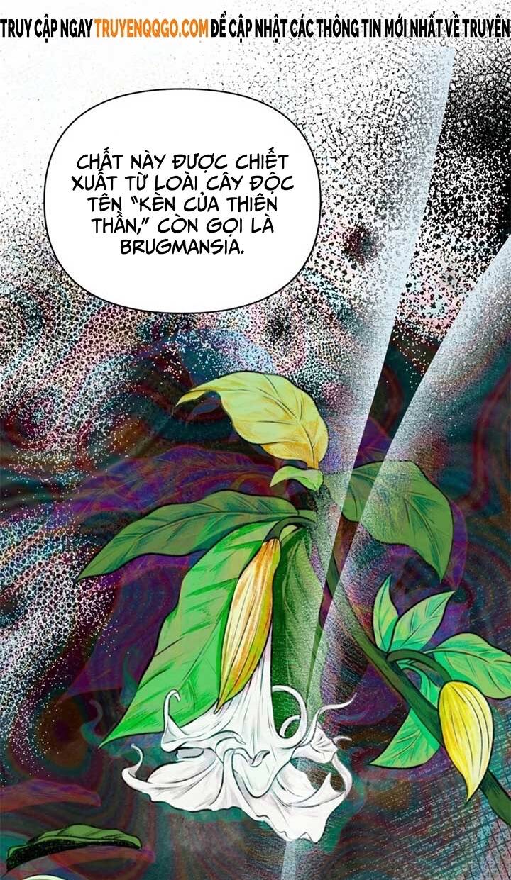 Tôi Muốn Ngừng Việc Giết Chóc Chap 41 - Next Chap 42