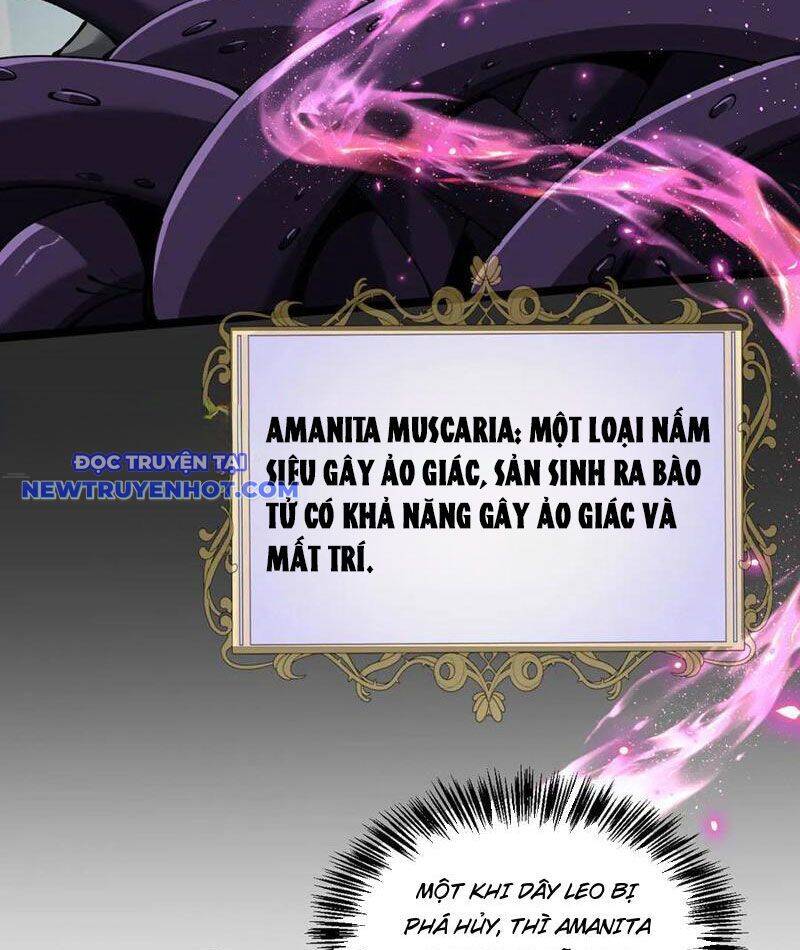 Cái Bóng Phản Bội Của Gia Tộc Chap 38 - Next Chap 39