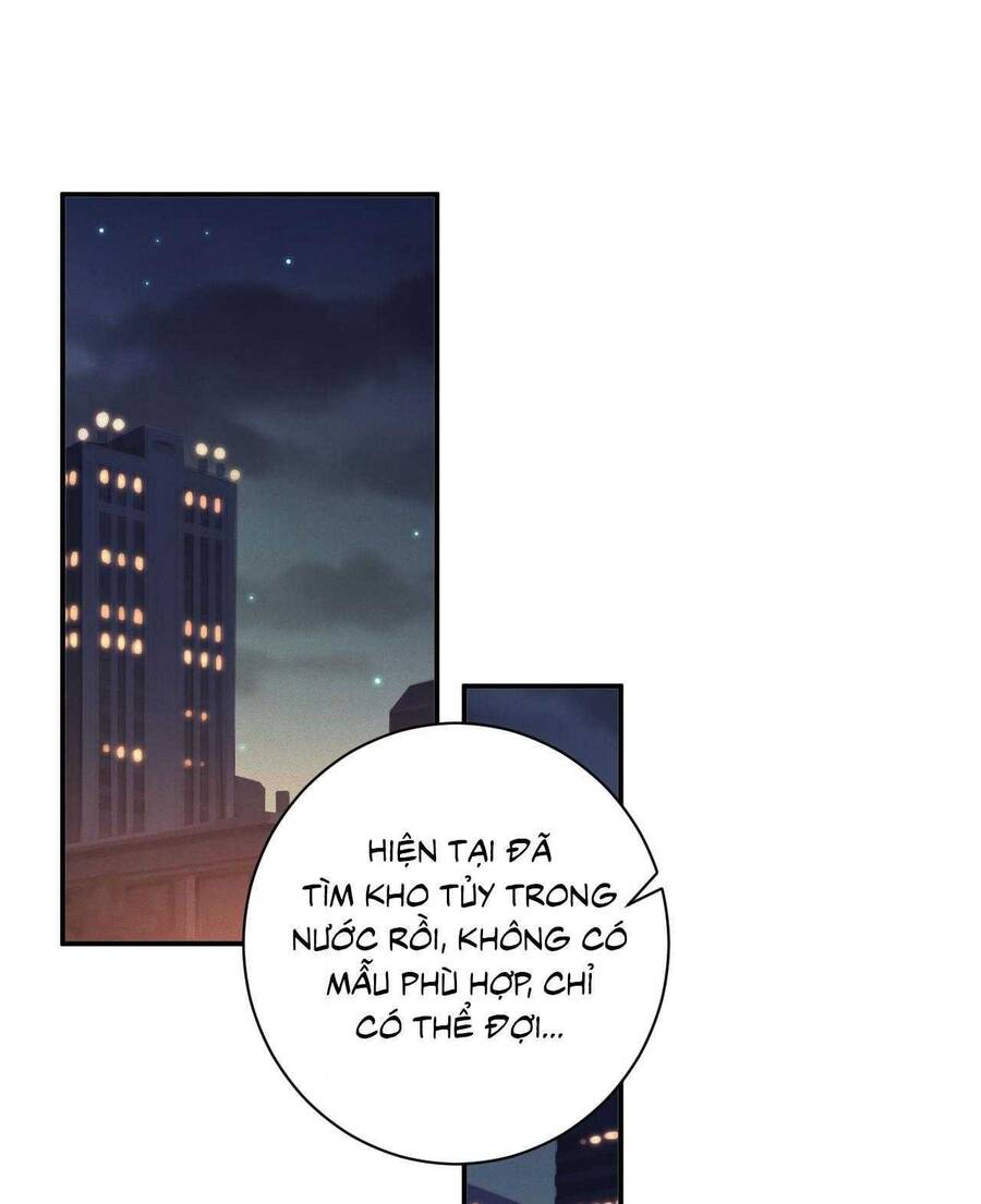 Chồng Cũ Muốn Tái Hôn Lần Nữa Chap 76 - Next Chap 77