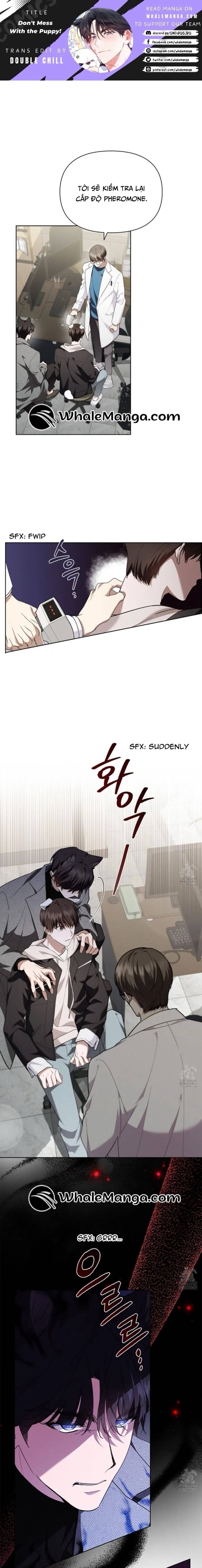 Đừng Đùa Với Cún Con Chap 20 - Next Chap 21