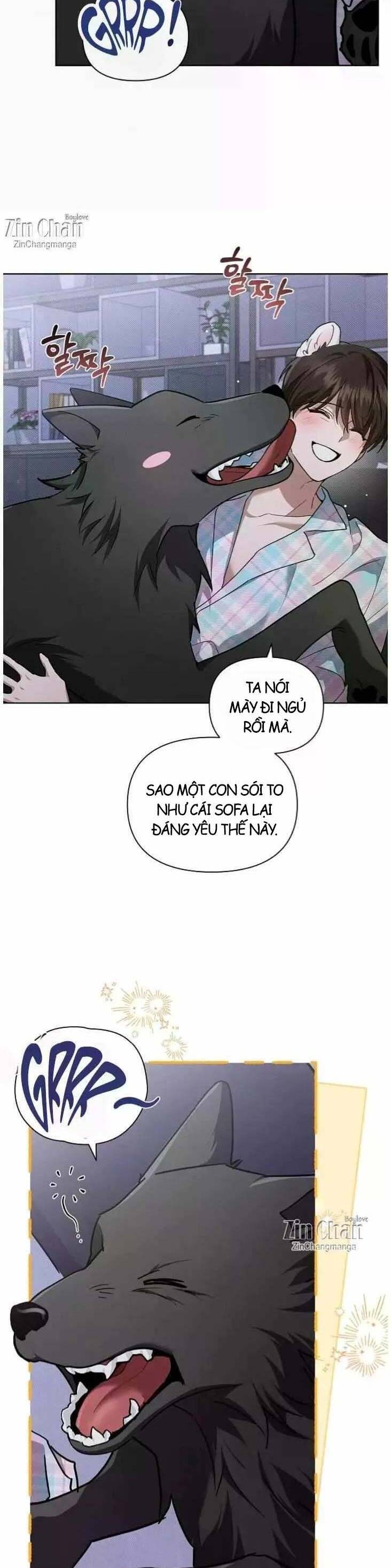 Đừng Đùa Với Cún Con Chap 51 - Next Chap 52