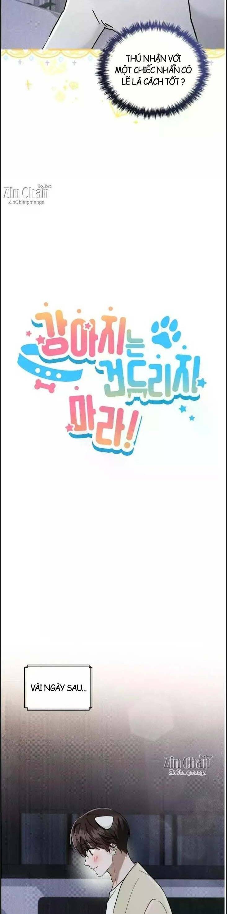 Đừng Đùa Với Cún Con Chap 51 - Next Chap 52