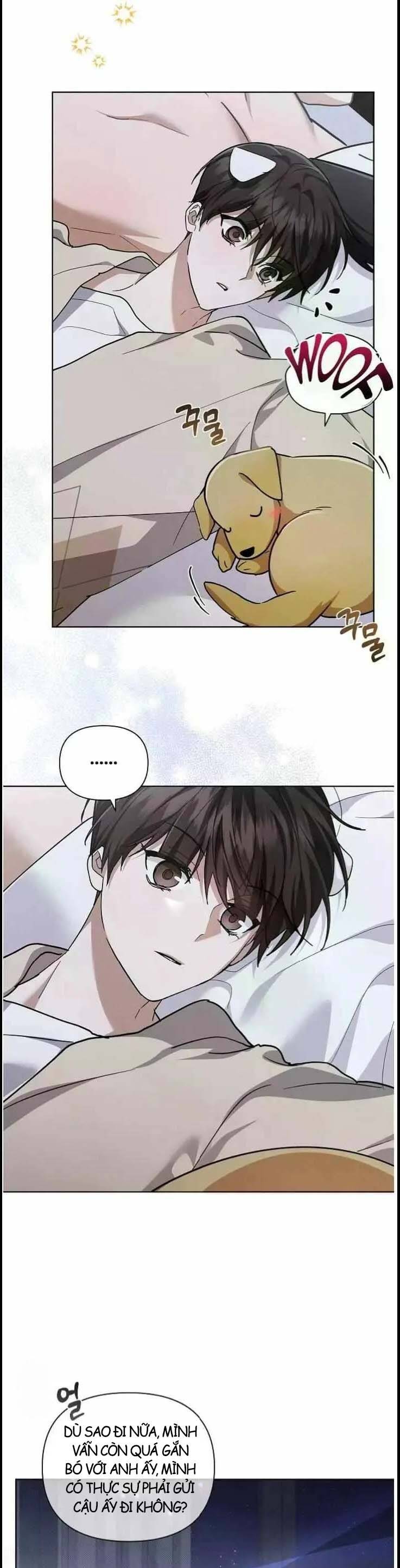 Đừng Đùa Với Cún Con Chap 51 - Next Chap 52