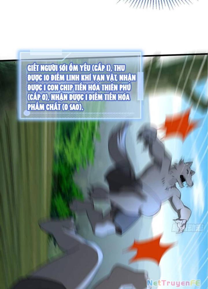 Từ Dã Quái Bắt Đầu Thăng Cấp Chap 2 - Next Chap 3