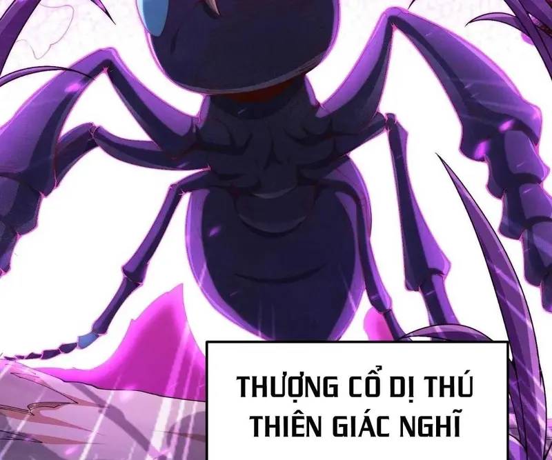 Luyện Khí 3000 Tầng: Mở Đầu Thu Nữ Đế Làm Đệ Chap 3 - Next Chap 4