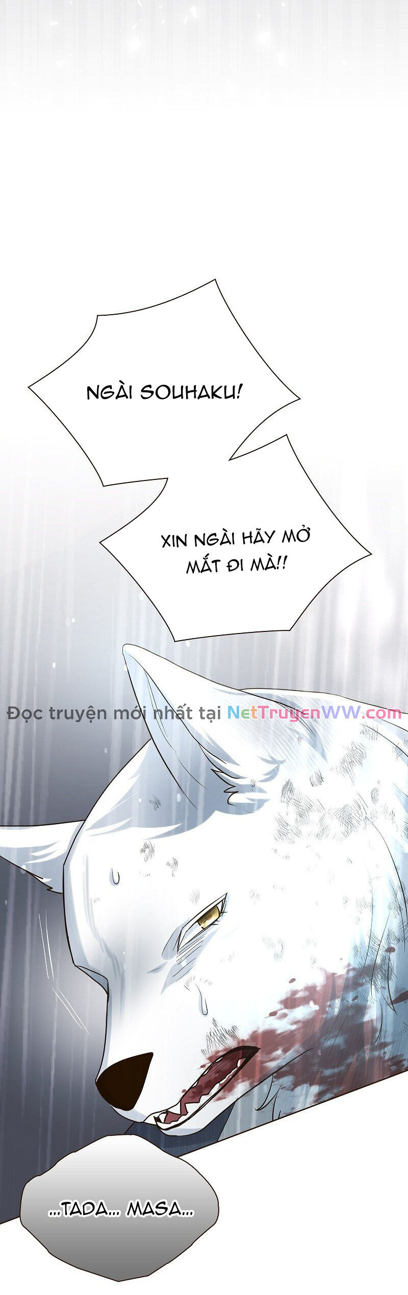 Cô Dâu Của Sói Trắng Chap 41 - Next Chap 42