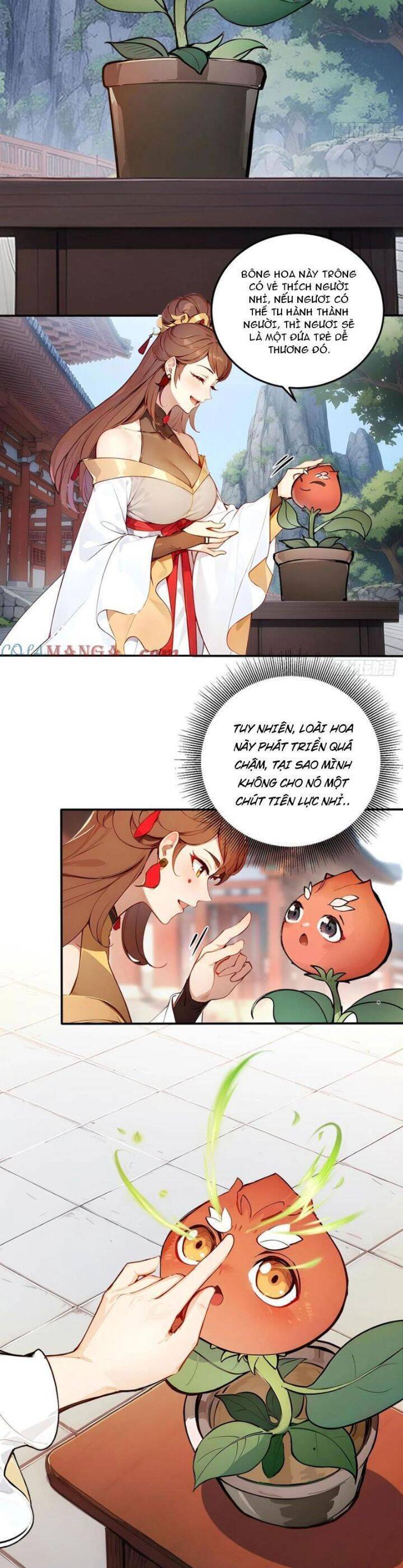 Ngươi Làm Bộ Tu Luyện Đi! Chap 56 - Next Chap 57