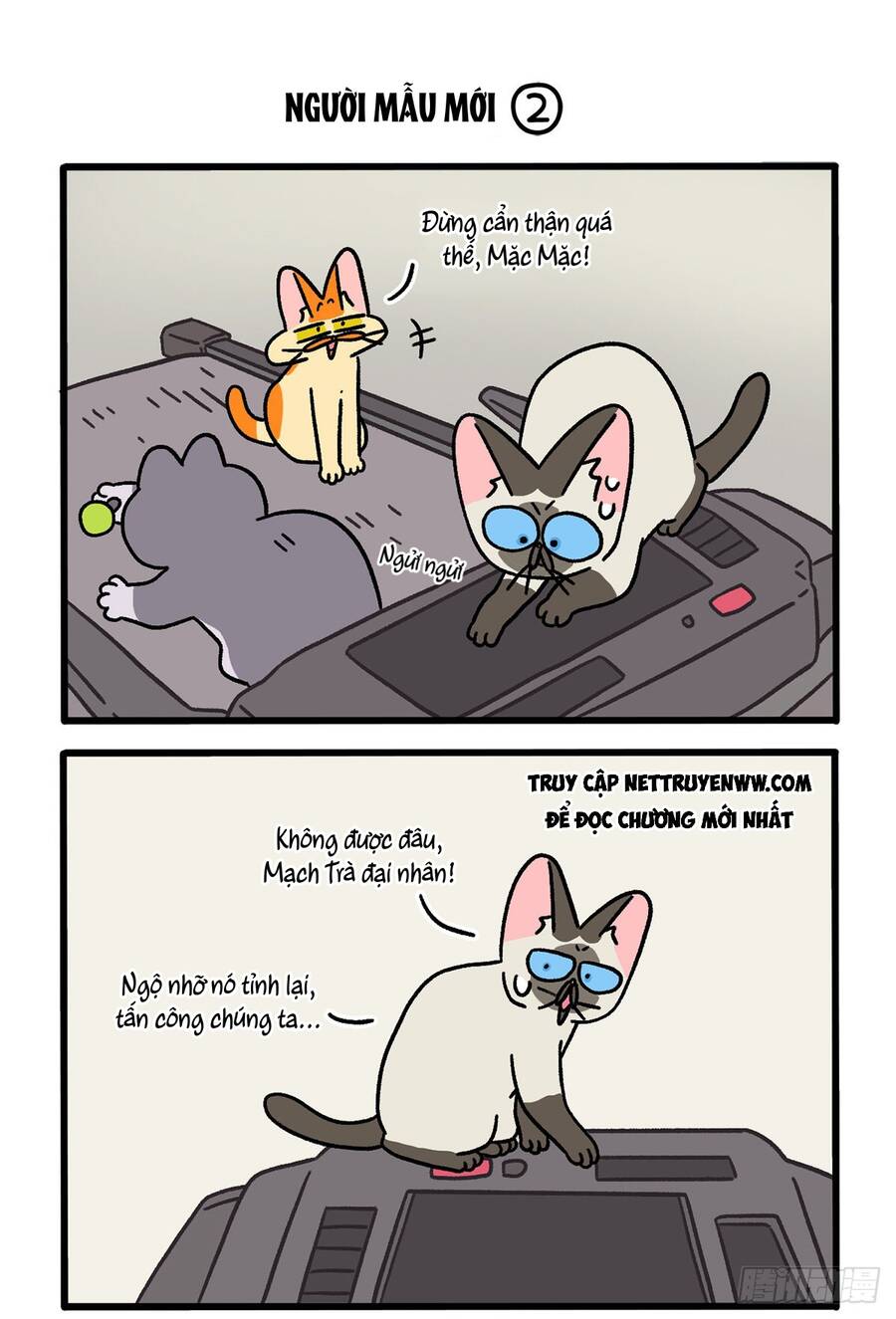 A Mãn Và Mạch Trà Chap 121 - Next Chap 122