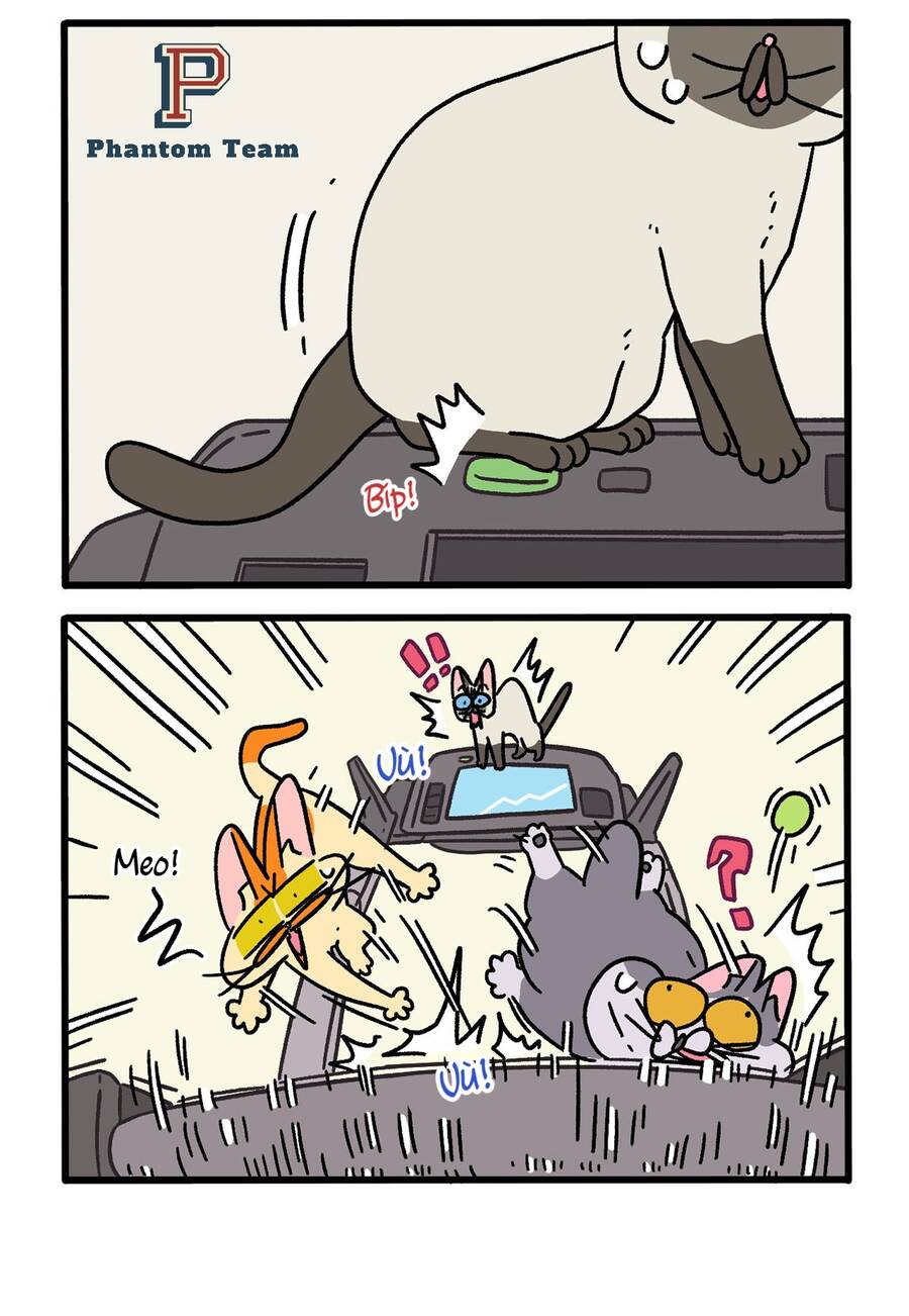 A Mãn Và Mạch Trà Chap 121 - Next Chap 122