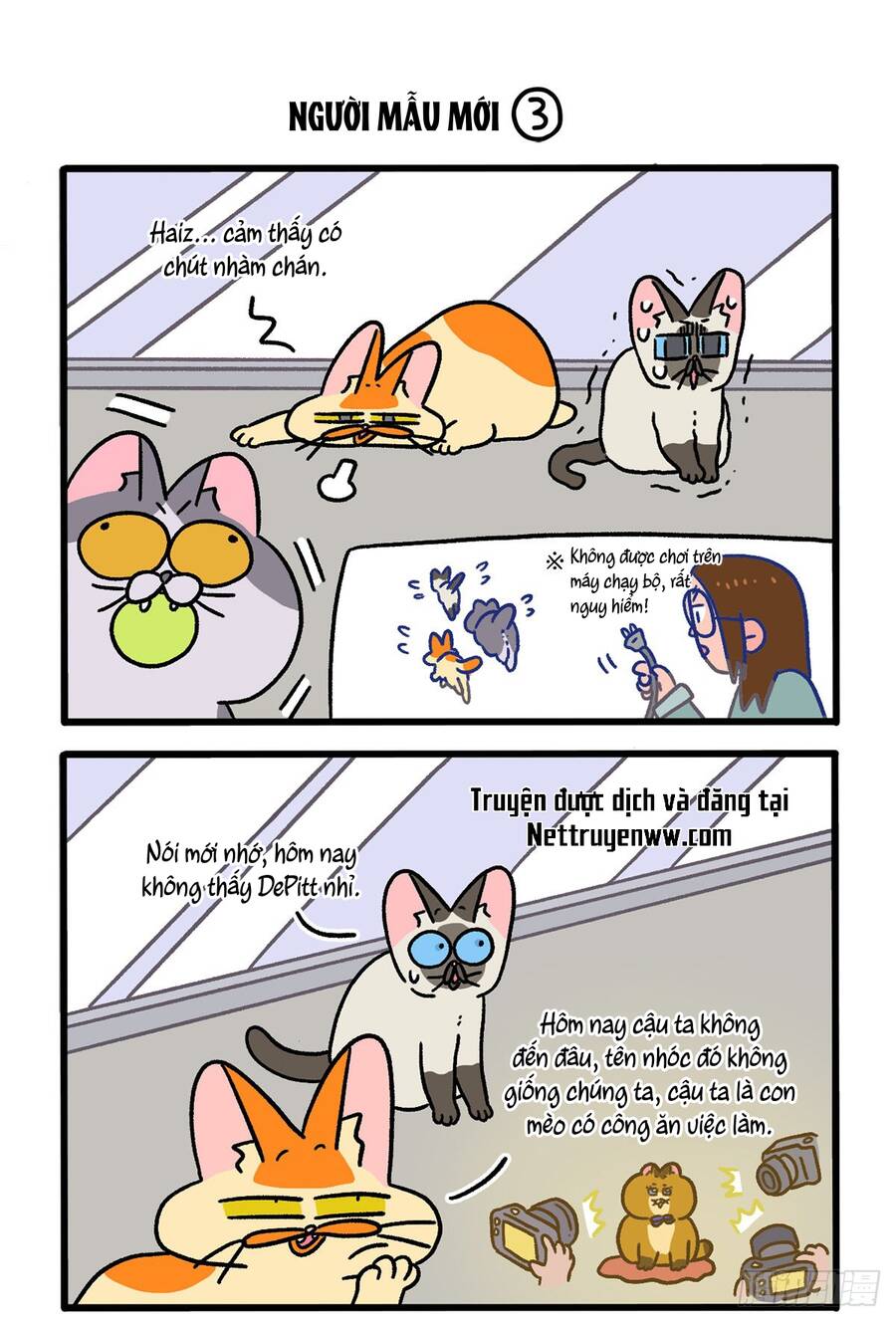 A Mãn Và Mạch Trà Chap 121 - Next Chap 122