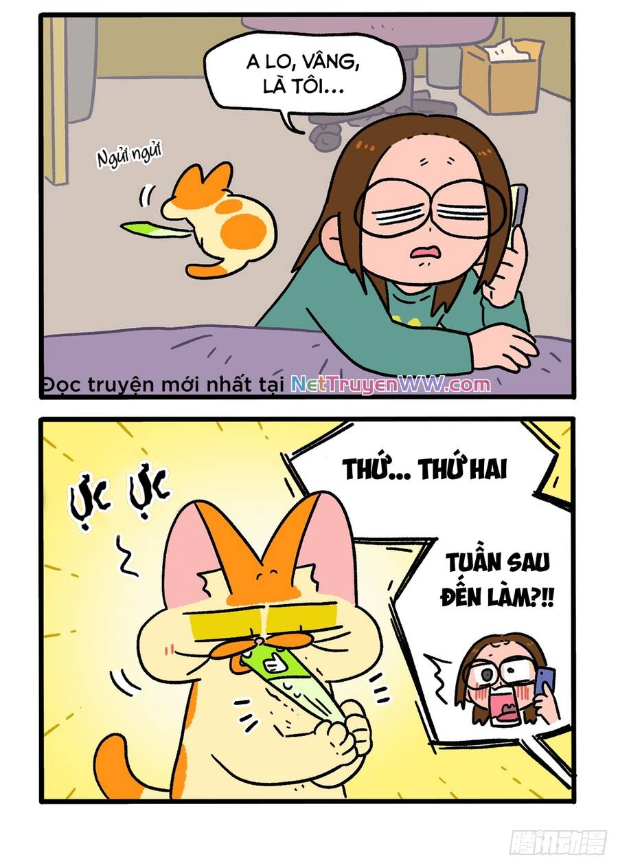 A Mãn Và Mạch Trà Chap 147 - Next Chap 148