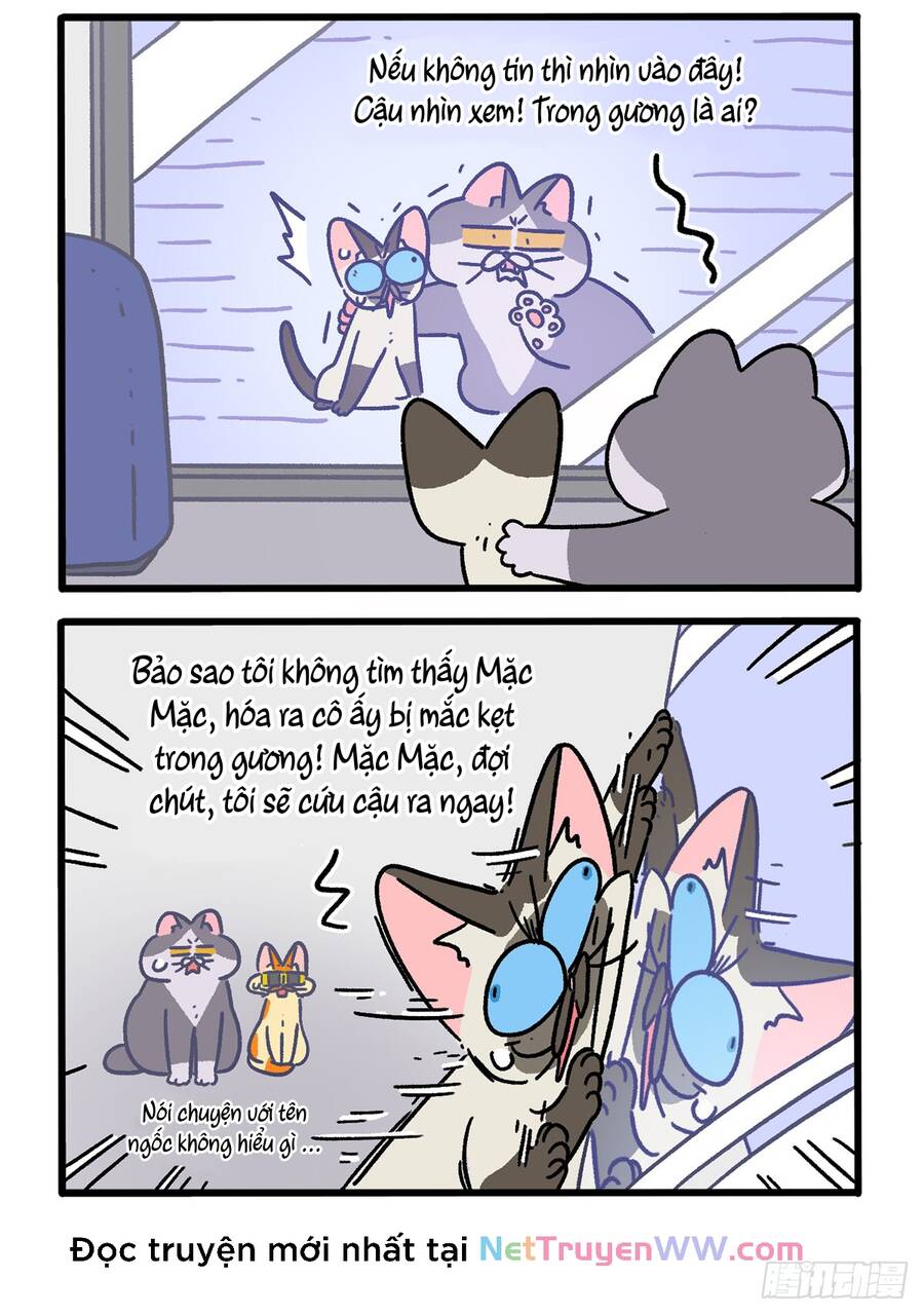 A Mãn Và Mạch Trà Chap 151 - Next Chap 152