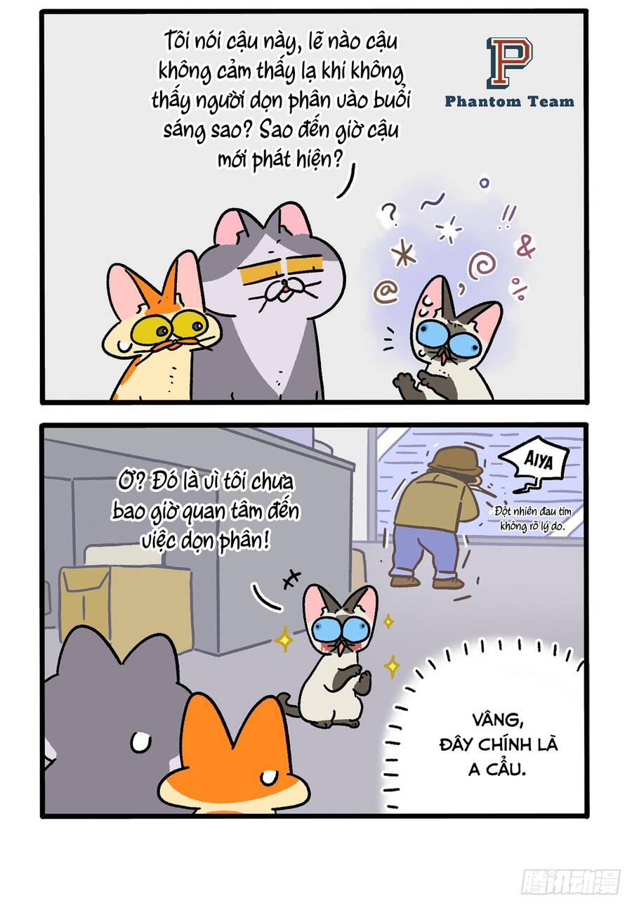 A Mãn Và Mạch Trà Chap 151 - Next Chap 152