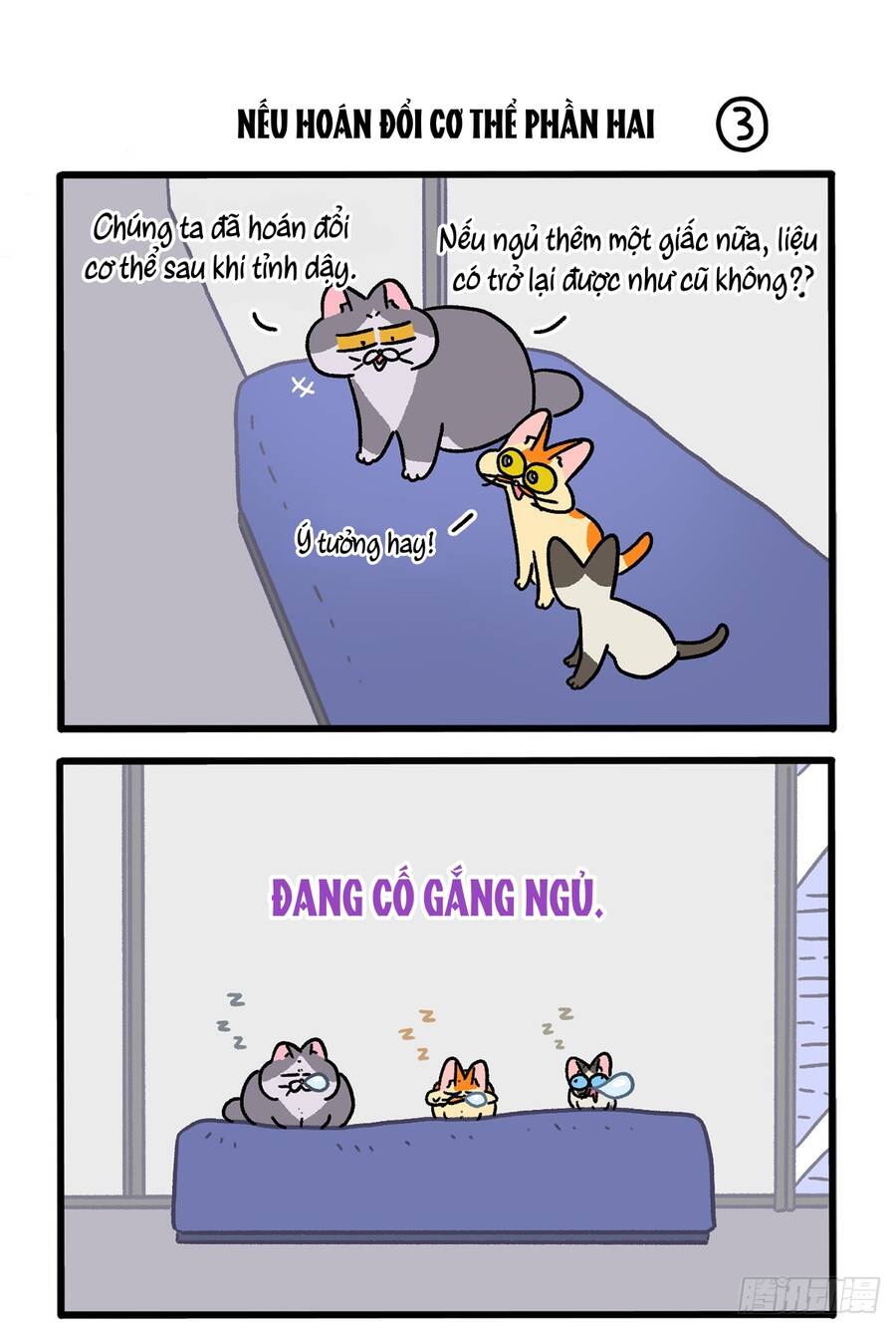 A Mãn Và Mạch Trà Chap 151 - Next Chap 152