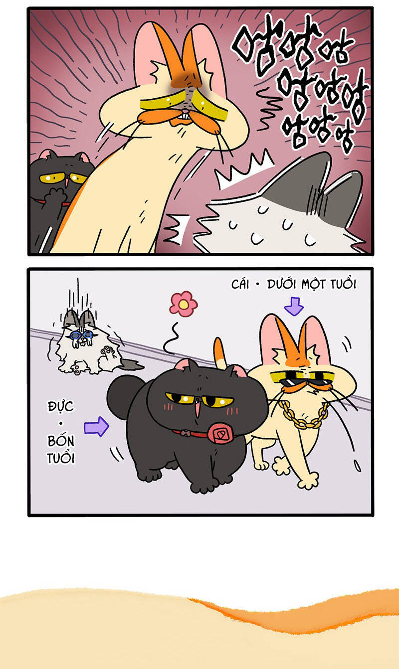 A Mãn Và Mạch Trà Chap 35 - Next Chap 36