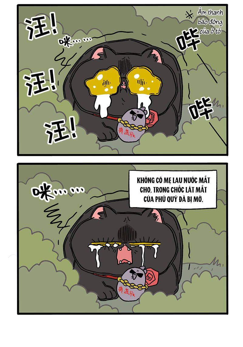 A Mãn Và Mạch Trà Chap 37 - Next Chap 38