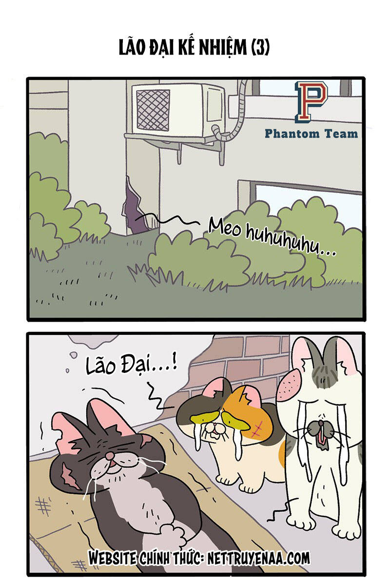 A Mãn Và Mạch Trà Chap 37 - Next Chap 38