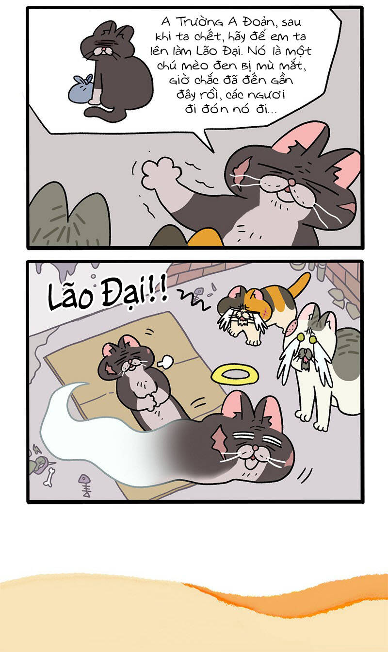 A Mãn Và Mạch Trà Chap 37 - Next Chap 38