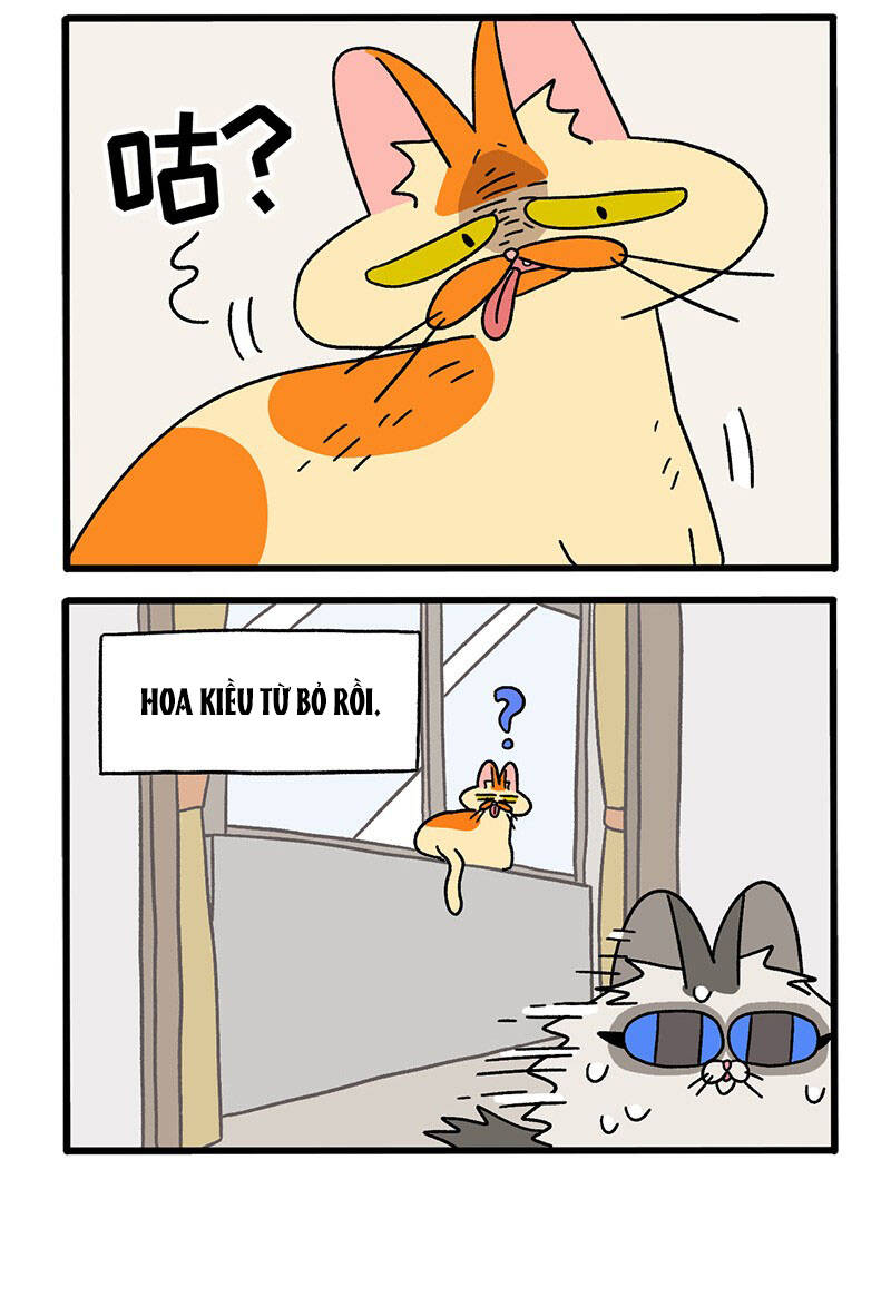 A Mãn Và Mạch Trà Chap 39 - Next Chap 40