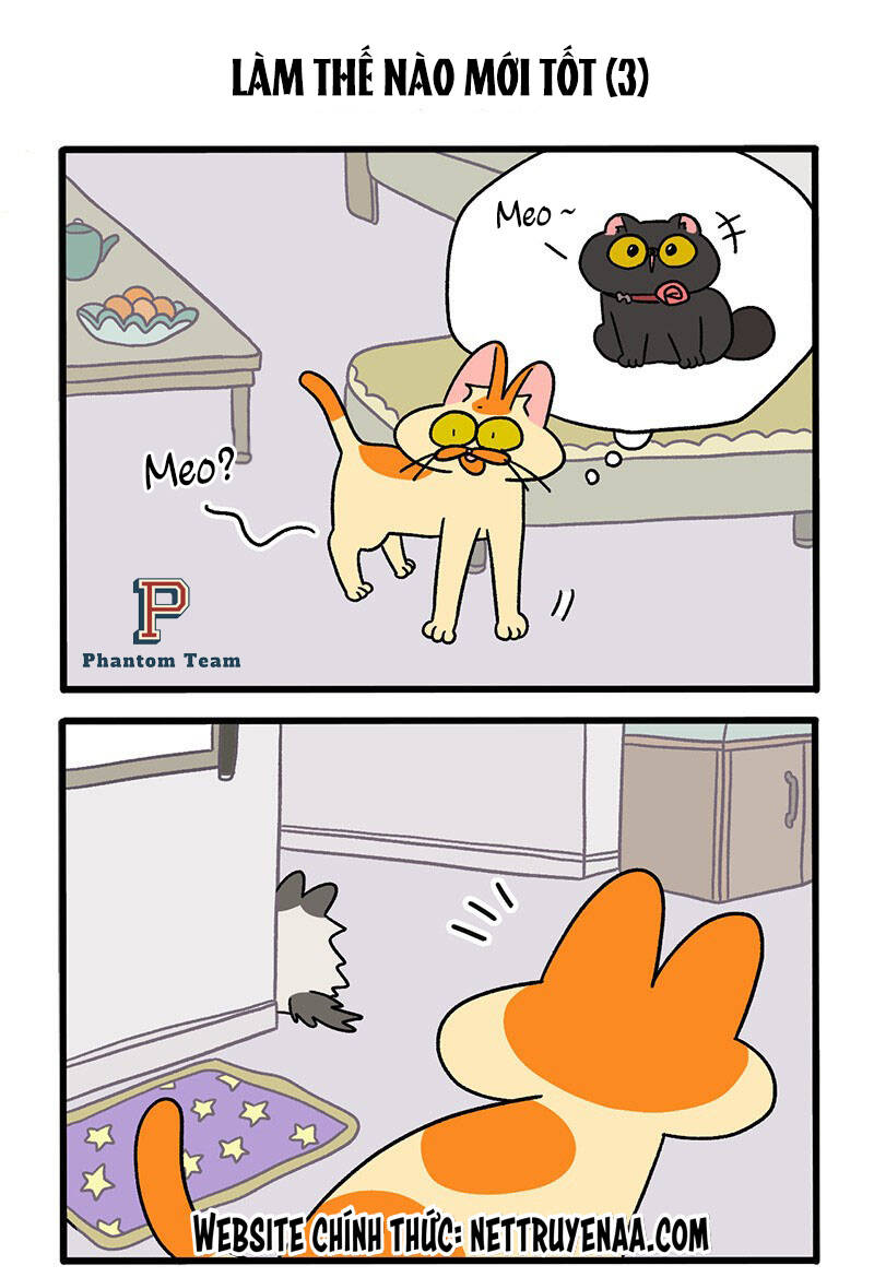 A Mãn Và Mạch Trà Chap 39 - Next Chap 40