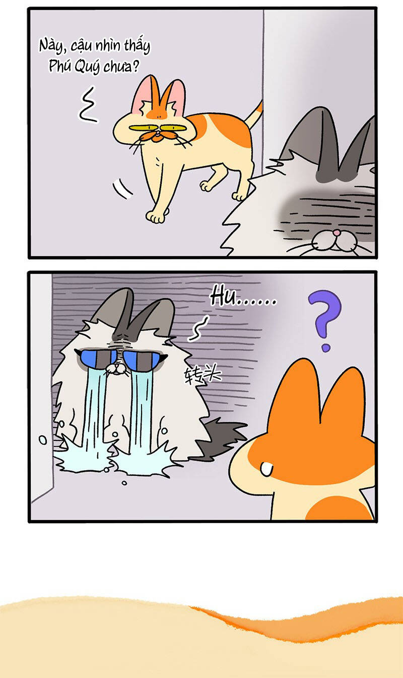 A Mãn Và Mạch Trà Chap 39 - Next Chap 40