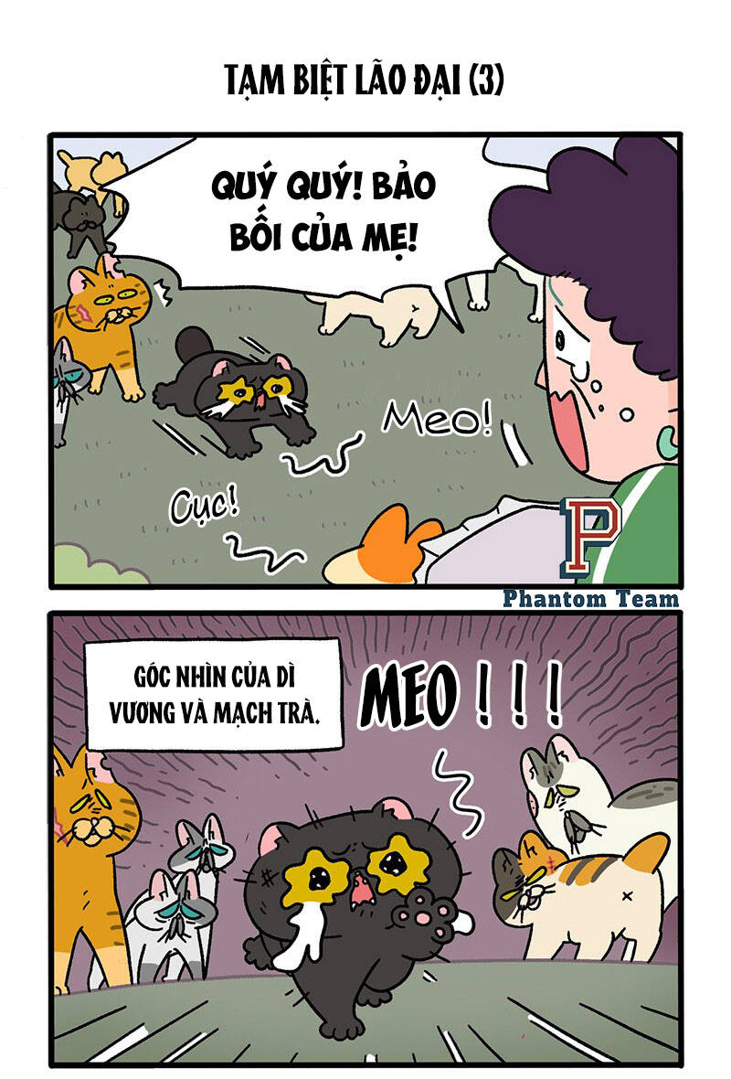 A Mãn Và Mạch Trà Chap 45 - Next Chap 46