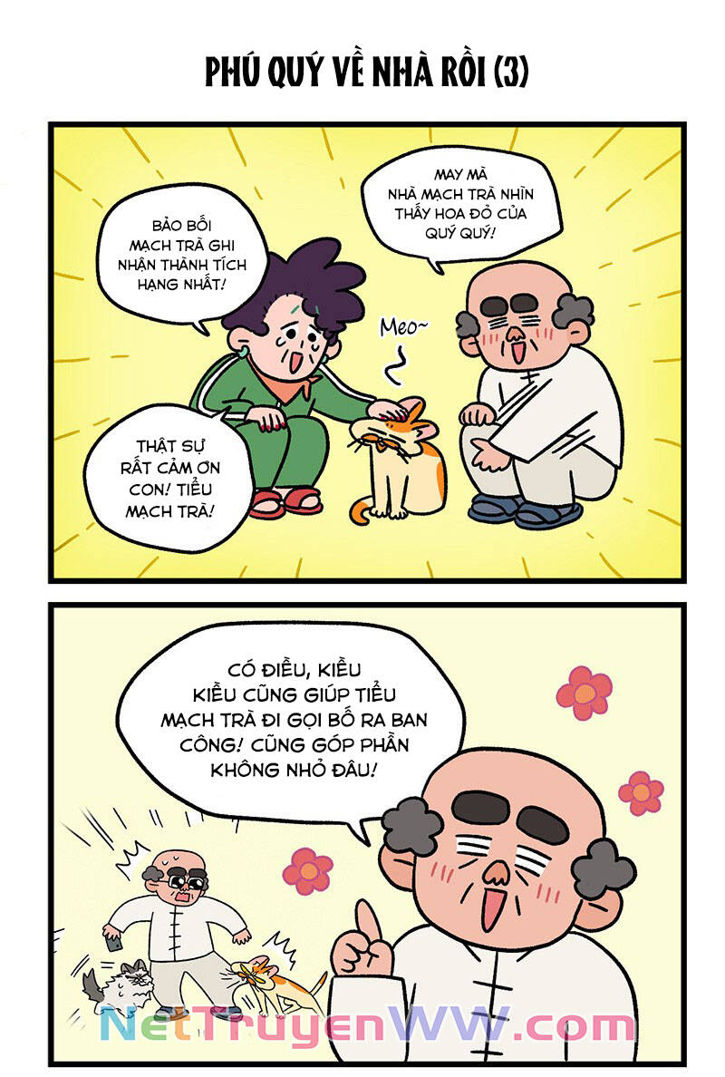 A Mãn Và Mạch Trà Chap 46 - Next Chap 47