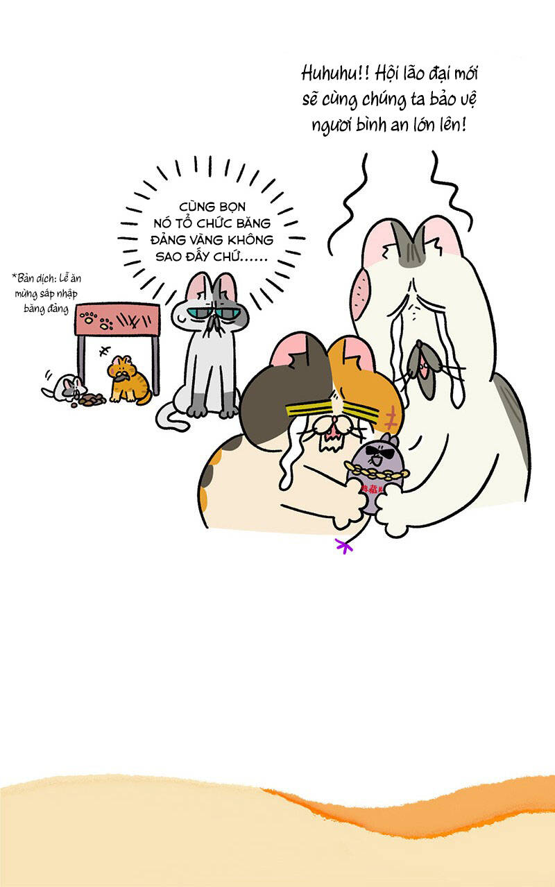 A Mãn Và Mạch Trà Chap 46 - Next Chap 47