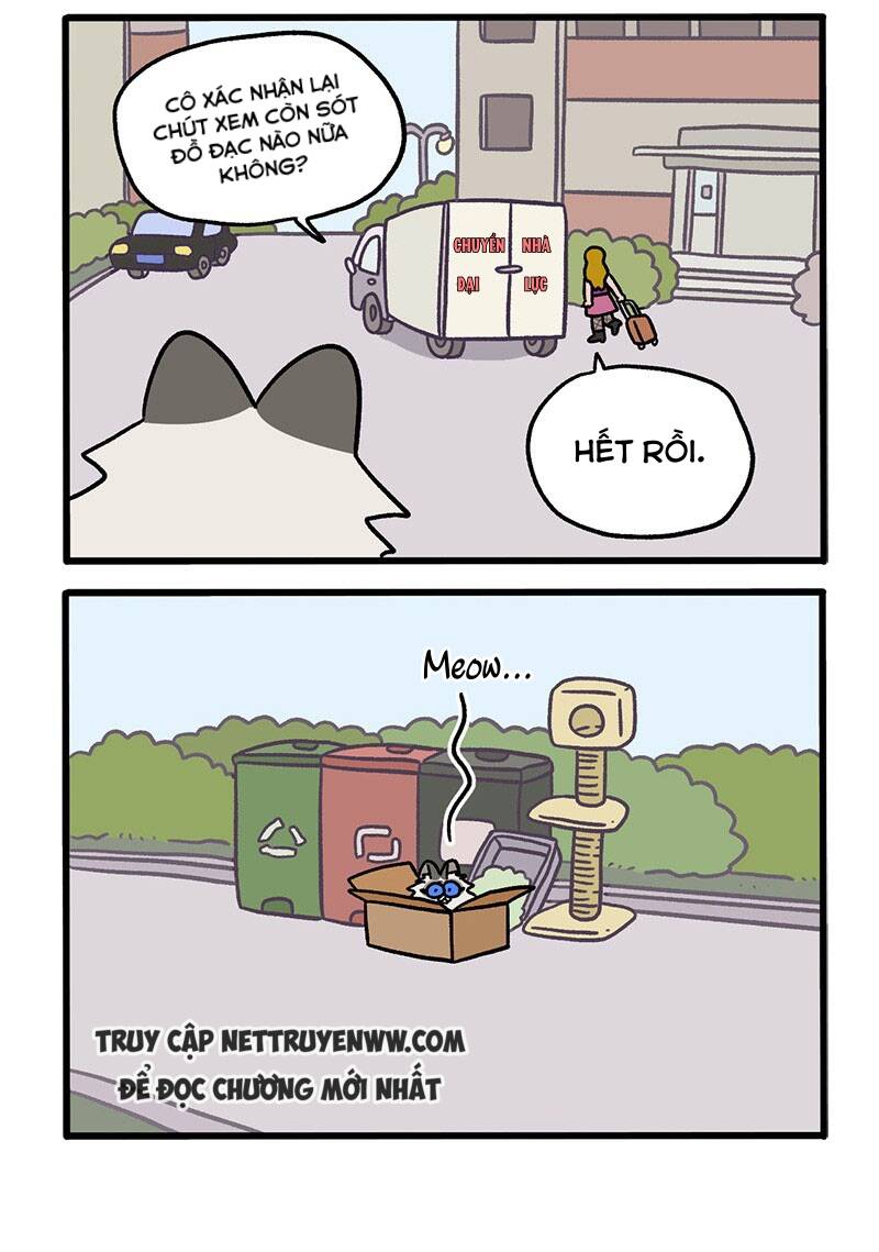 A Mãn Và Mạch Trà Chap 48 - Next Chap 49