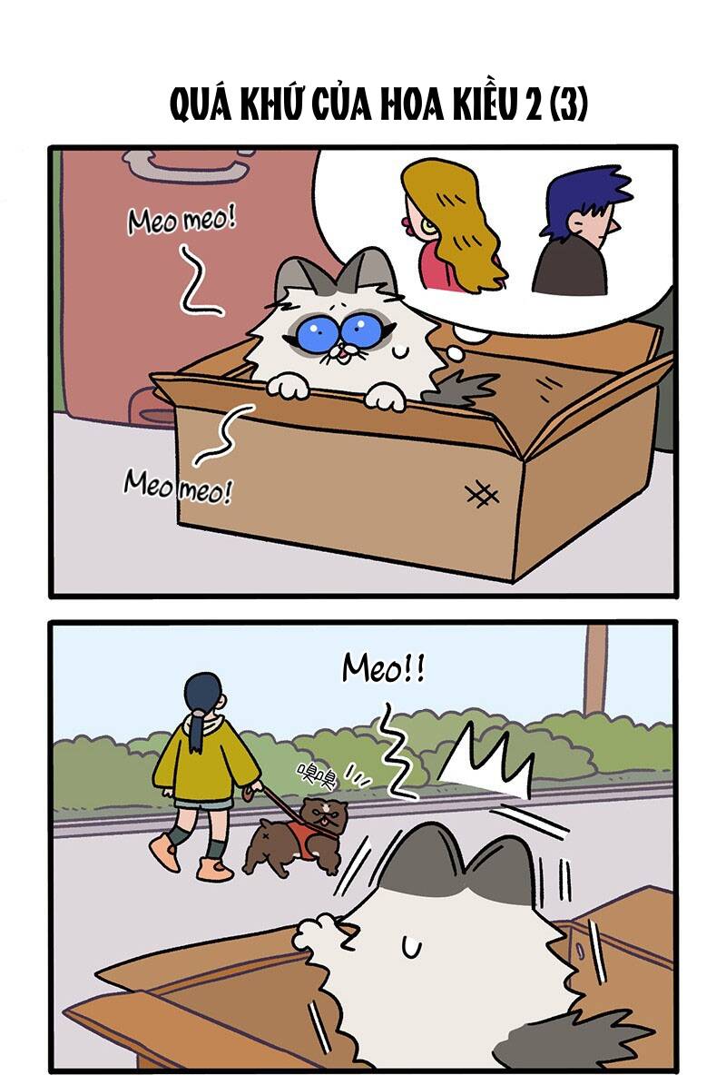 A Mãn Và Mạch Trà Chap 48 - Next Chap 49