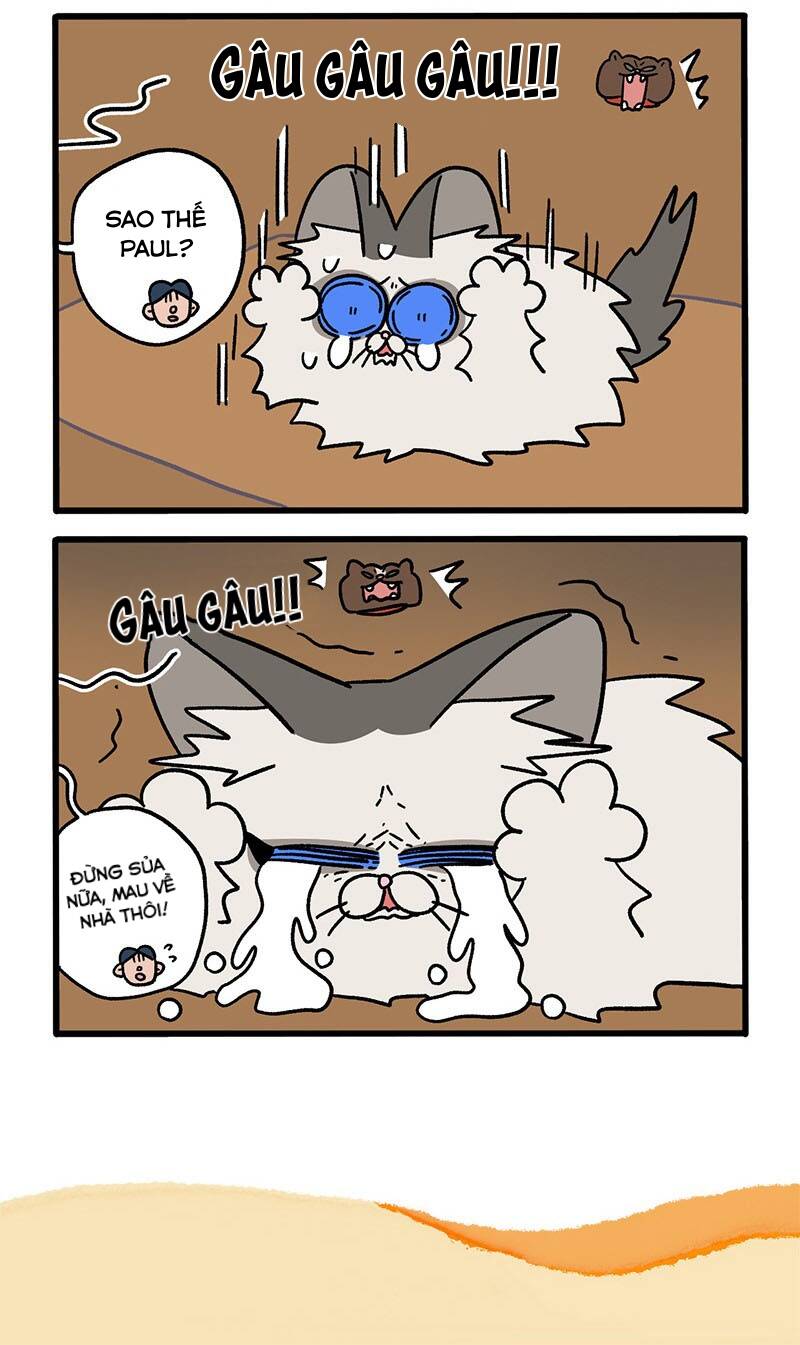 A Mãn Và Mạch Trà Chap 48 - Next Chap 49