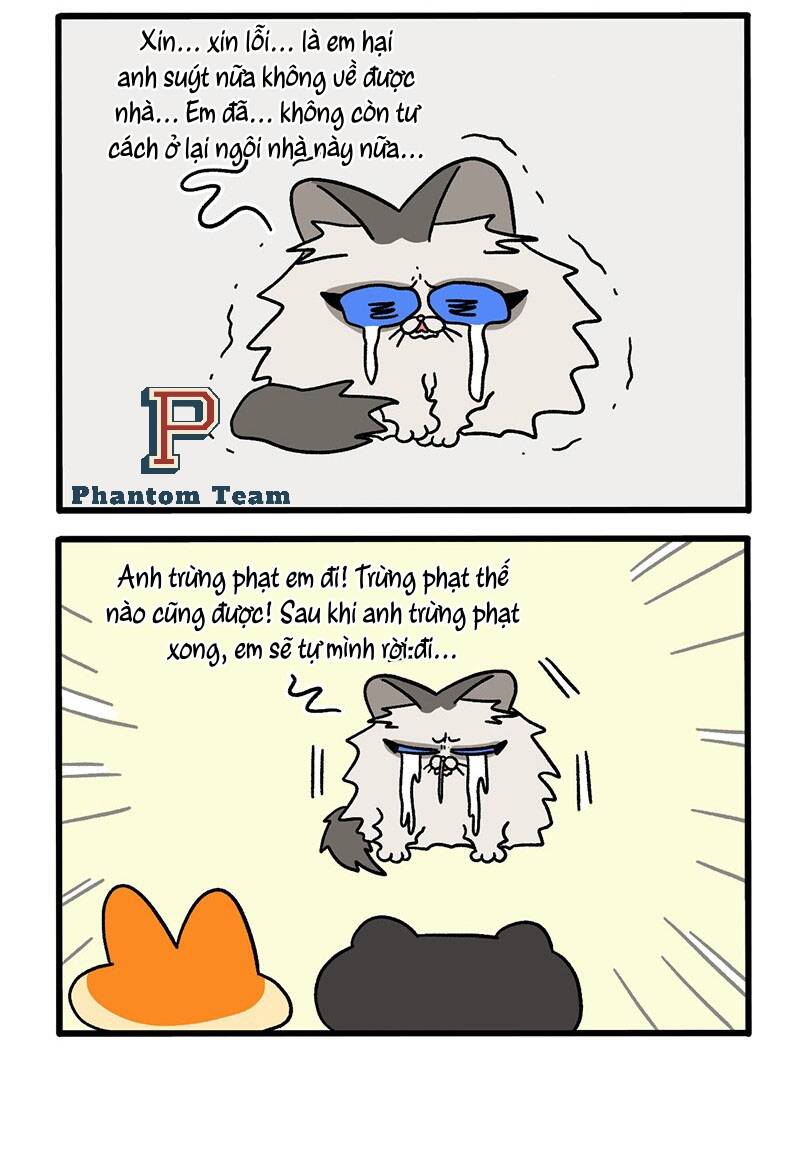 A Mãn Và Mạch Trà Chap 49 - Next Chap 50