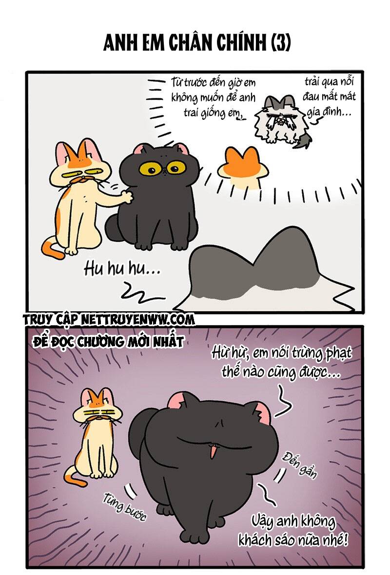 A Mãn Và Mạch Trà Chap 49 - Next Chap 50