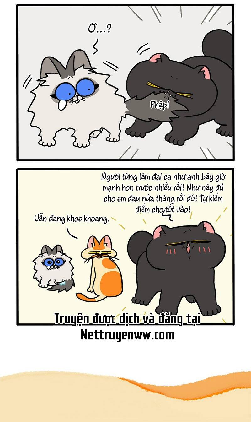 A Mãn Và Mạch Trà Chap 49 - Next Chap 50