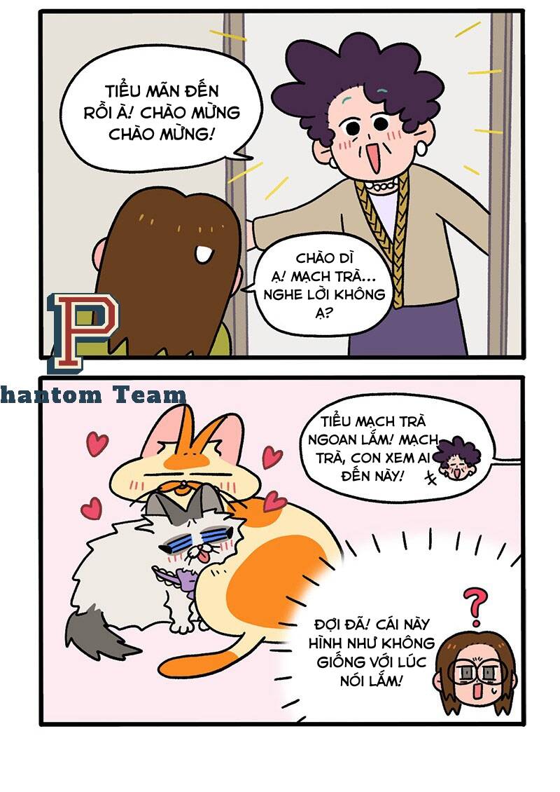 A Mãn Và Mạch Trà Chap 50 - Next Chap 51