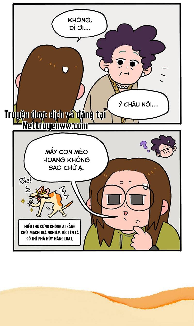 A Mãn Và Mạch Trà Chap 50 - Next Chap 51