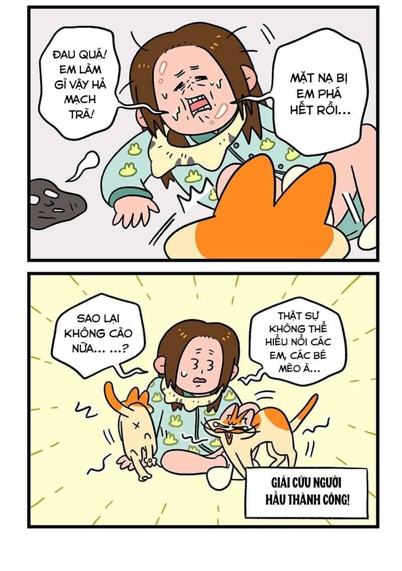 A Mãn Và Mạch Trà Chap 52 - Next Chap 53