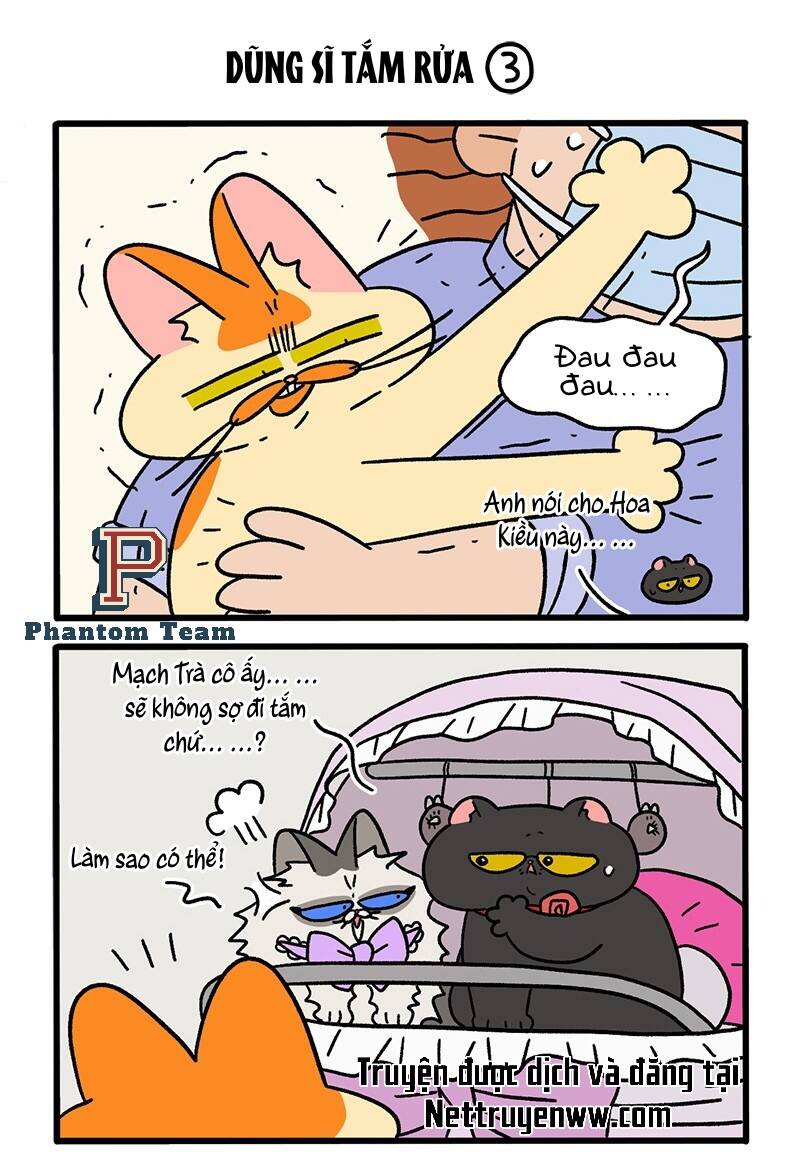 A Mãn Và Mạch Trà Chap 56 - Next Chap 57