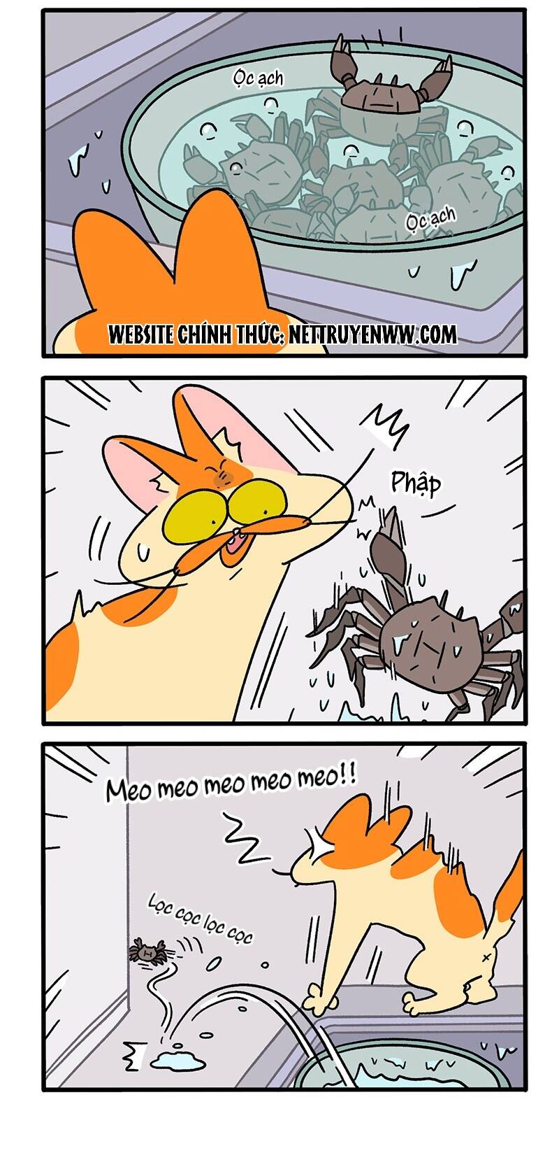 A Mãn Và Mạch Trà Chap 58 - Next Chap 59