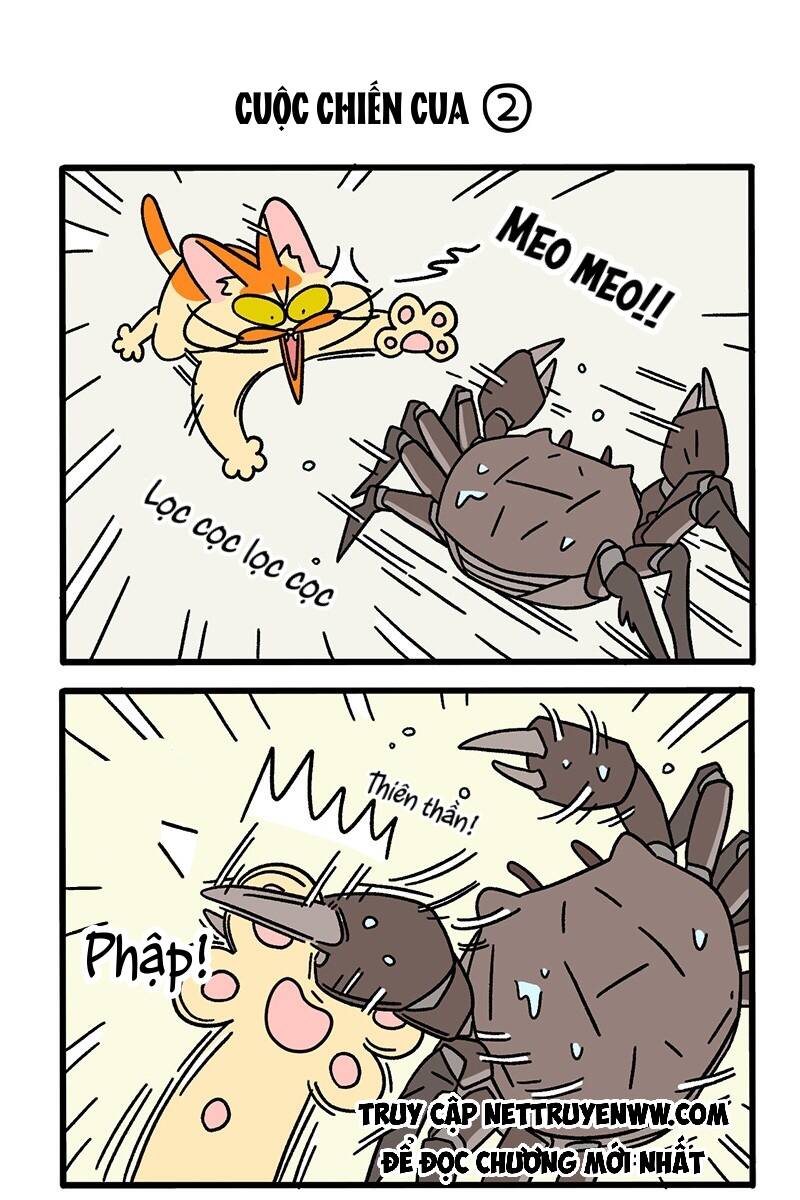 A Mãn Và Mạch Trà Chap 58 - Next Chap 59