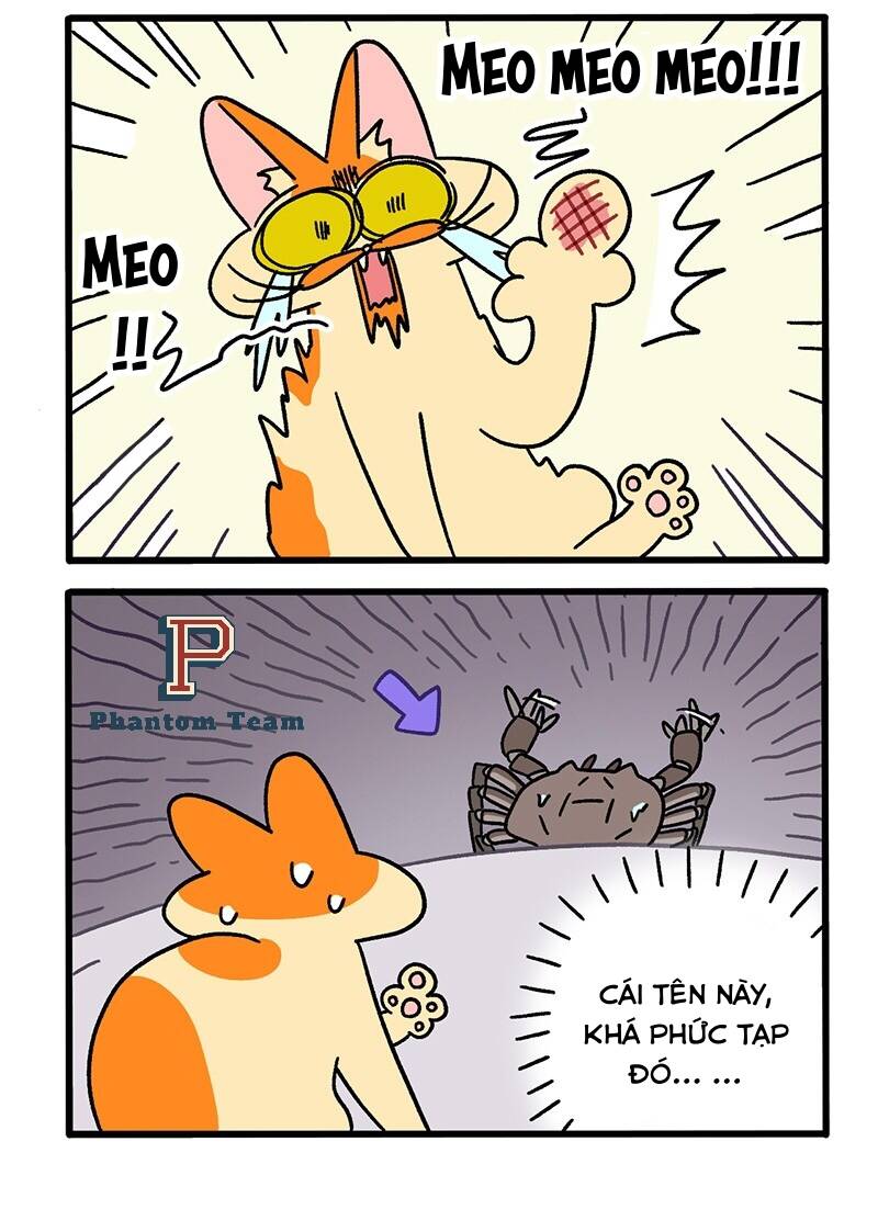 A Mãn Và Mạch Trà Chap 58 - Next Chap 59