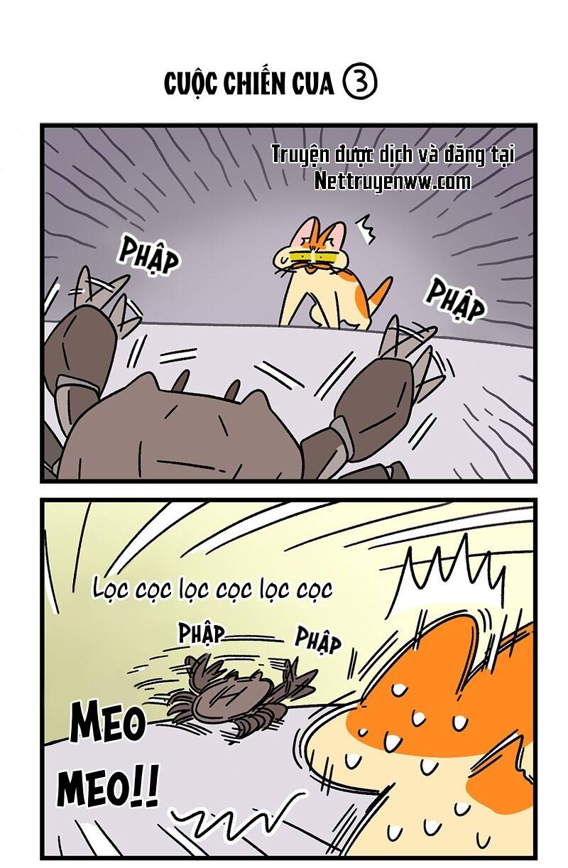 A Mãn Và Mạch Trà Chap 58 - Next Chap 59