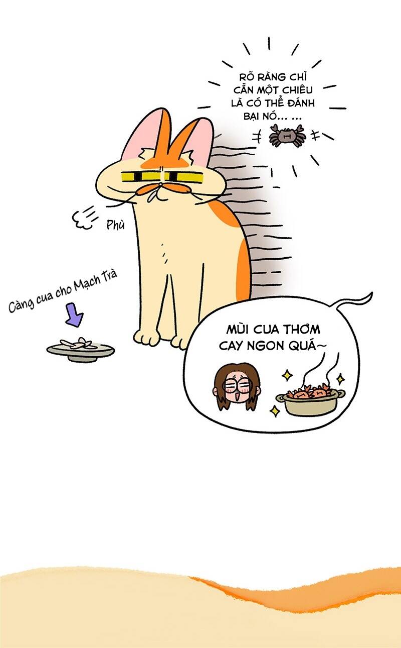 A Mãn Và Mạch Trà Chap 58 - Next Chap 59