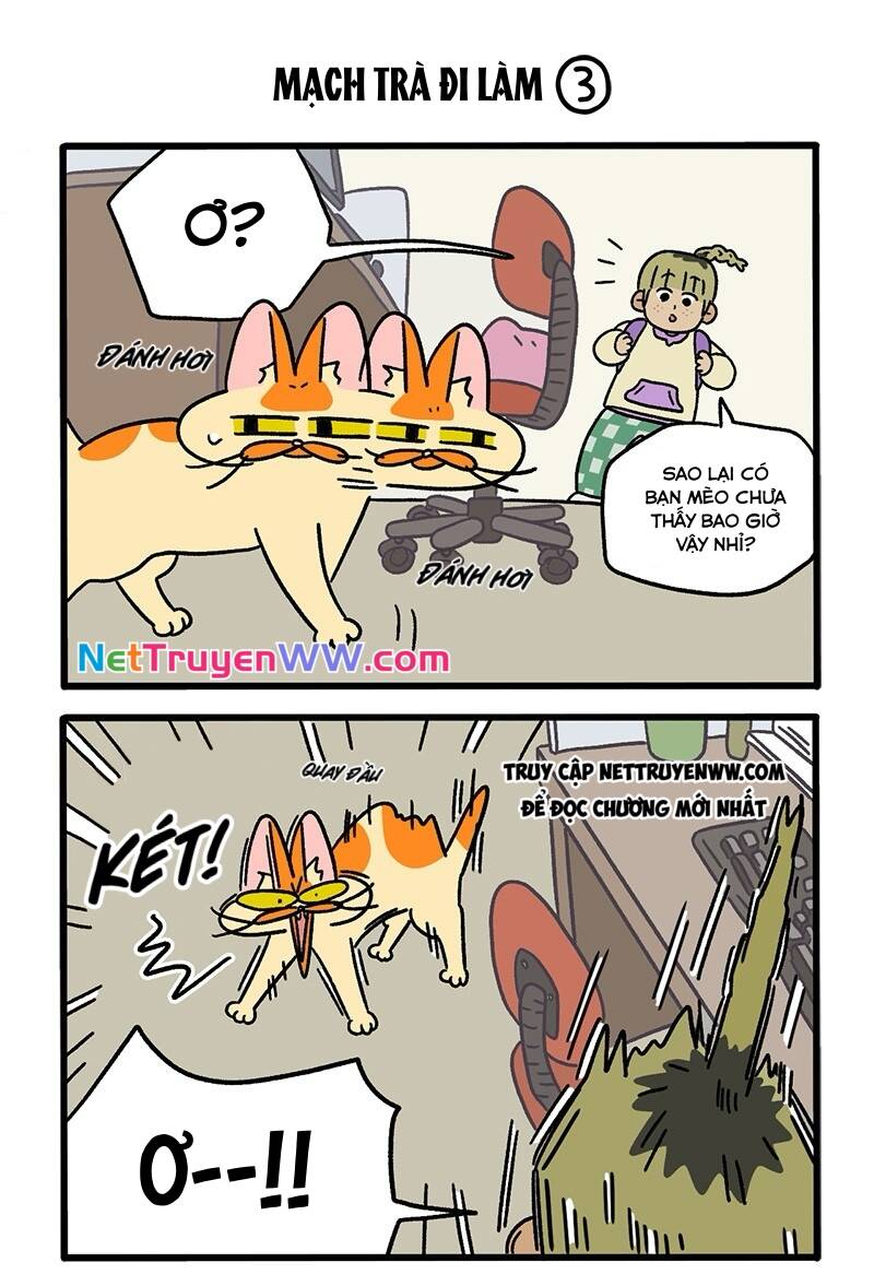 A Mãn Và Mạch Trà Chap 63 - Next Chap 64