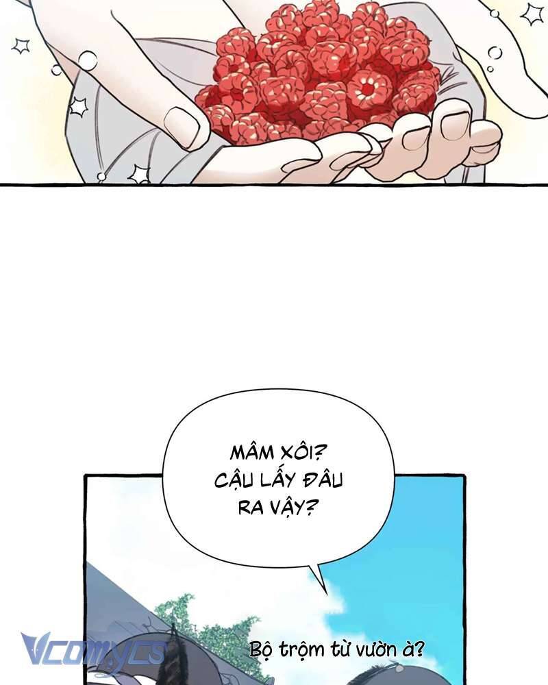 Chuyện Tình Hoa Lưu Ly Chap 3 - Next Chap 4