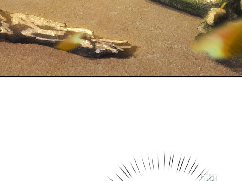 Thu Triệu Vạn Đồ Đệ, Vi Sư Vô Địch Thế Gian Chap 28 - Next Chap 29