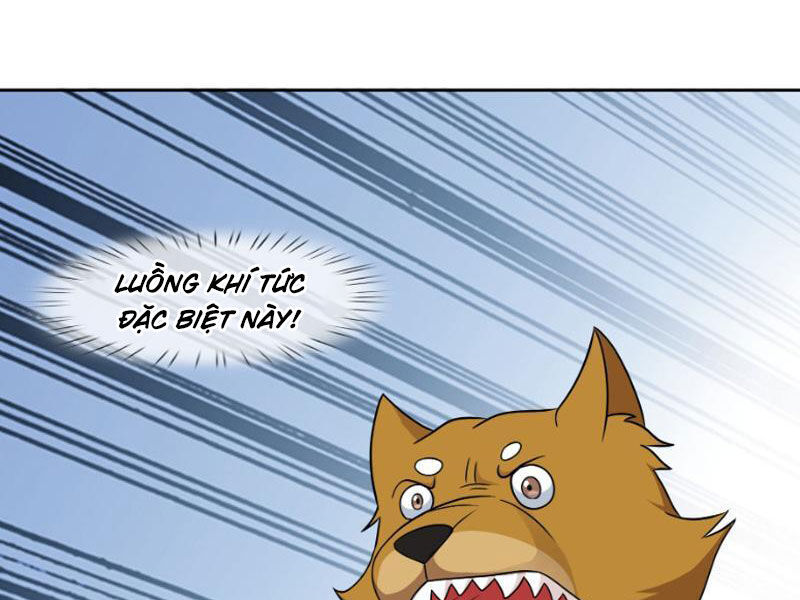 Thu Triệu Vạn Đồ Đệ, Vi Sư Vô Địch Thế Gian Chap 49 - Next Chap 50